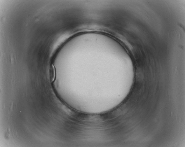 X0000097511464200803142030