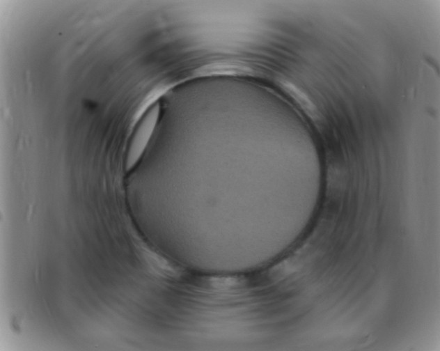 X0000097511465200803142030