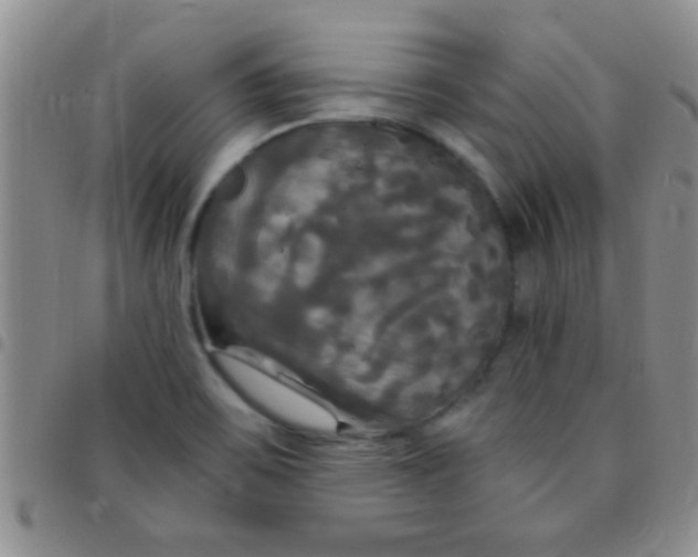 X0000097511467200803142030