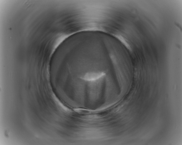 X0000097511468200803142030