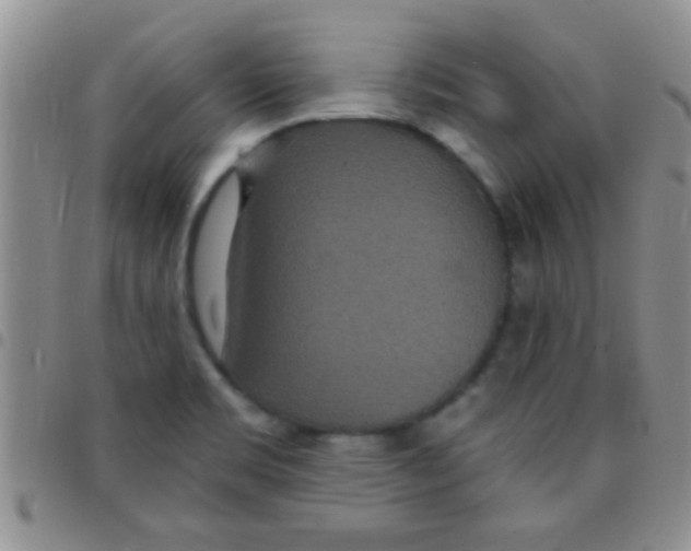 X0000097511469200803142030