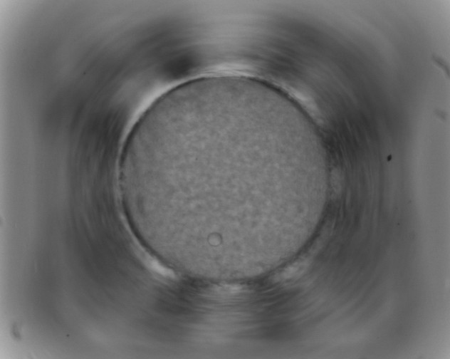 X0000097511470200803142030