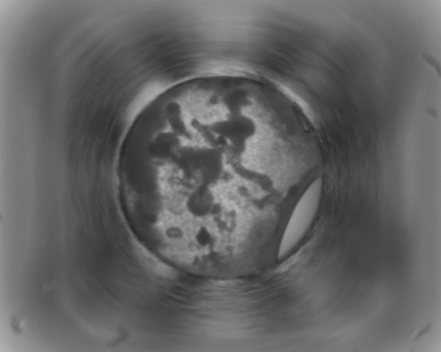 X0000097511471200803142030