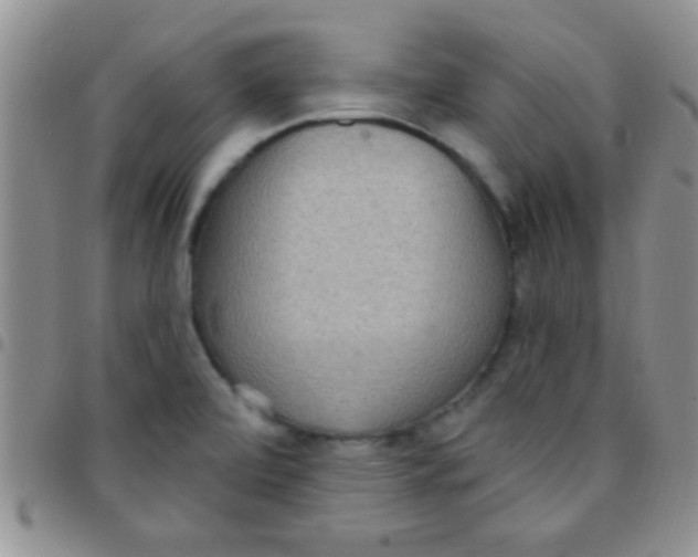 X0000097511472200803142030