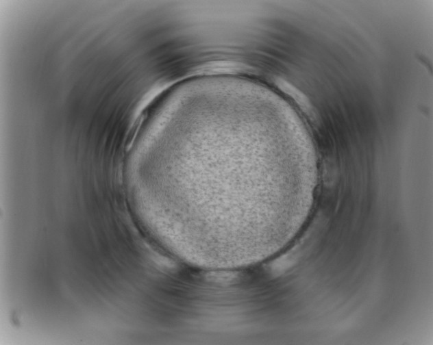 X0000097511473200803142030