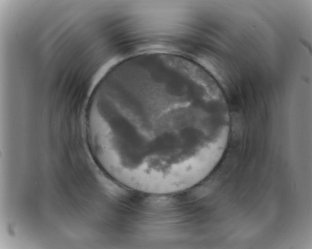 X0000097511474200803142030