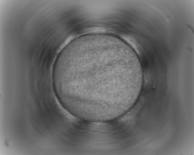 X0000097511475200803142030