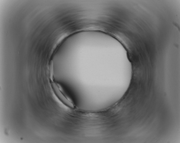 X0000097511476200803142030