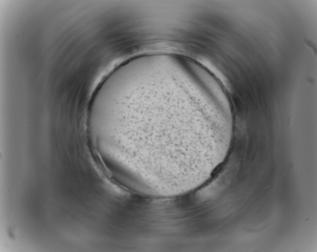 X0000097511477200803142030