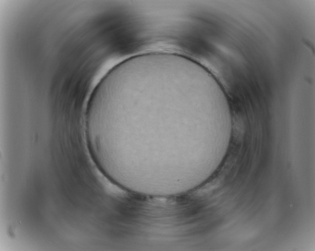 X0000097511478200803142030