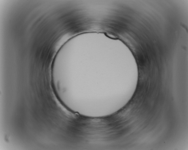 X0000097511479200803142030