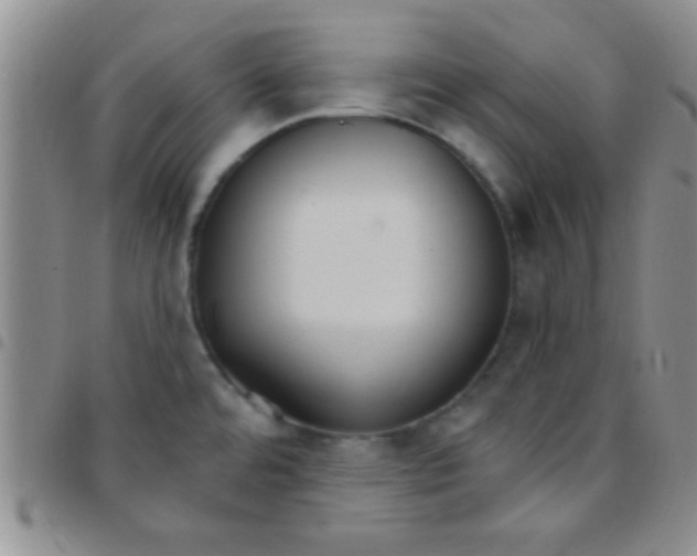 X0000097511480200803142030