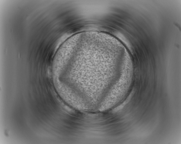 X0000097511481200803142030