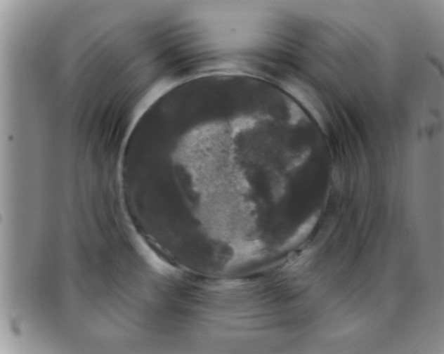 X0000097511482200803142030