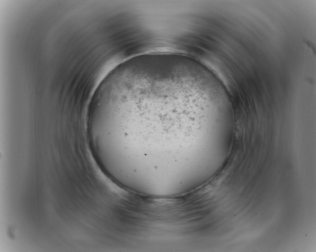 X0000097511483200803142030