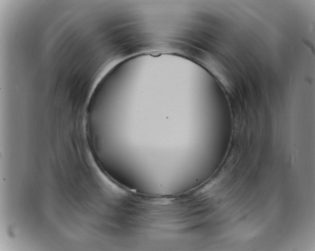 X0000097511484200803142030