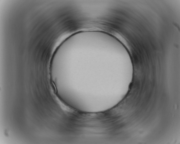 X0000097511485200803142030