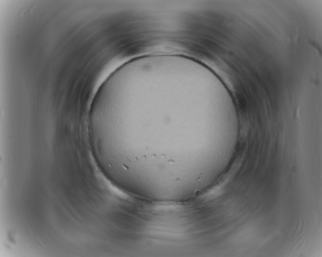 X0000097511486200803142030