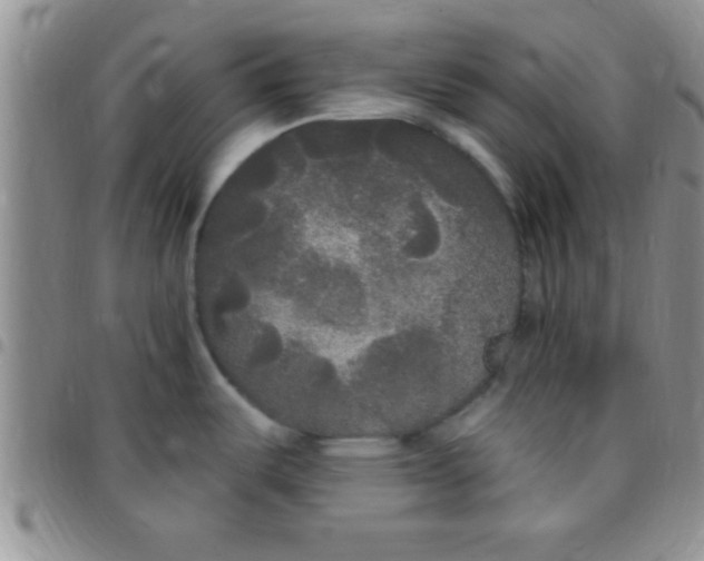 X0000097511487200803142030