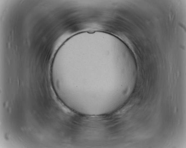 X0000097511488200803142030