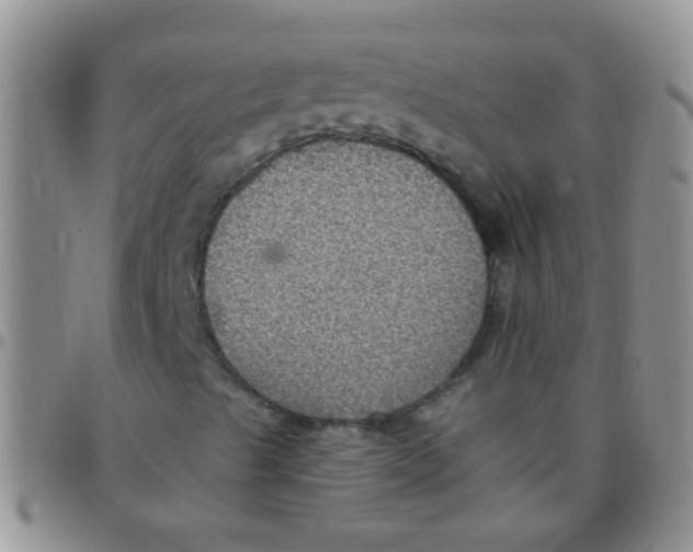 X0000097511489200803142030