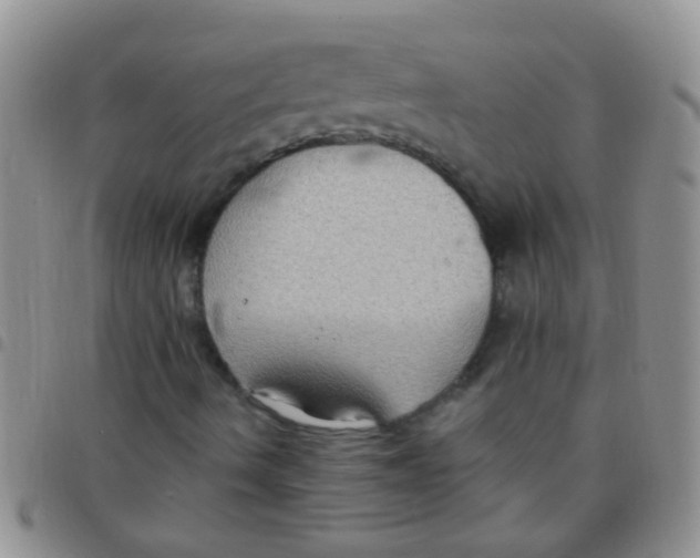 X0000097511490200803142030