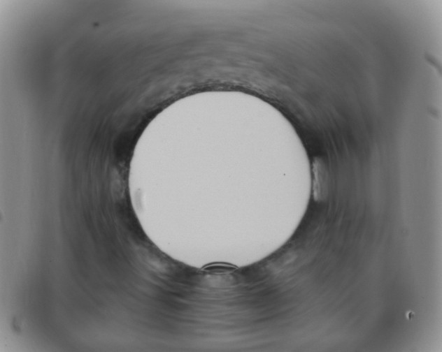 X0000097511491200803142030