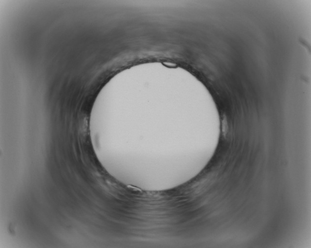 X0000097511492200803142030