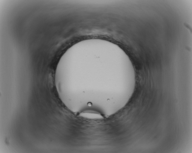 X0000097511493200803142030