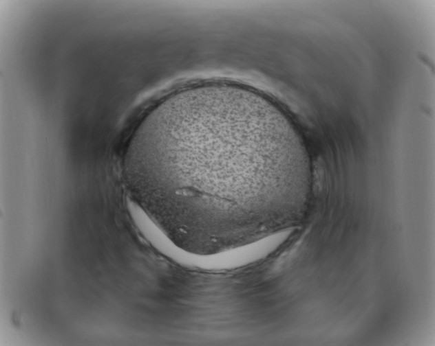 X0000097511494200803142030