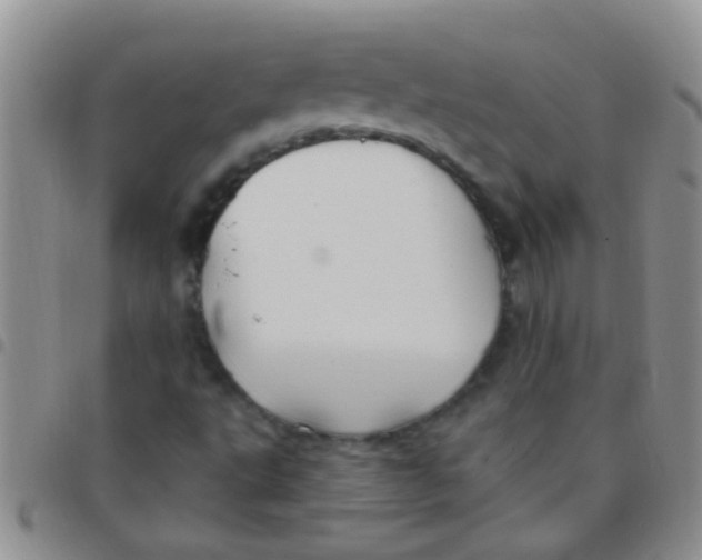 X0000097511495200803142030