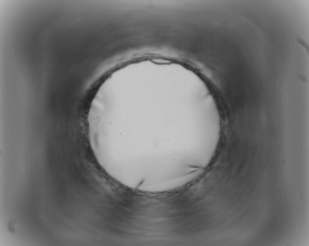 X0000097511496200803142030