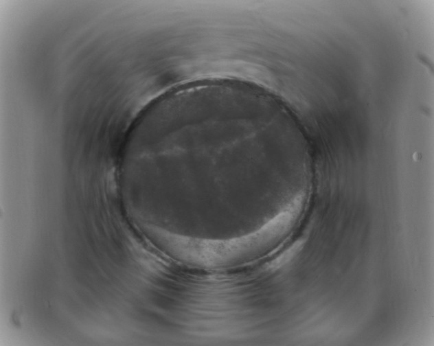 X0000097511497200803142030