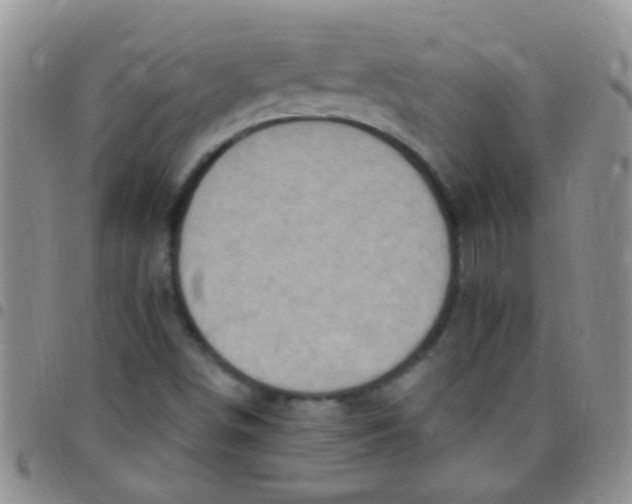 X0000097511498200803142030