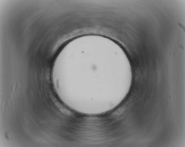 X0000097511499200803142030