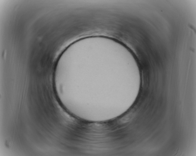 X0000097511500200803142030