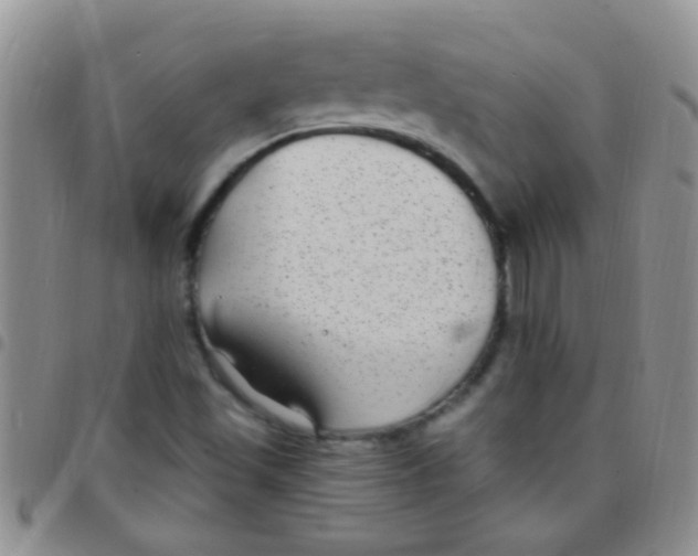 X0000097511501200803142030