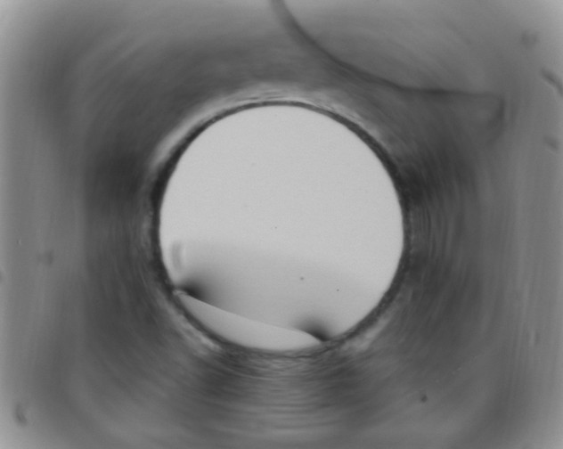 X0000097511502200803142030