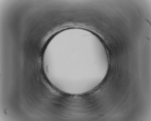 X0000097511503200803142030