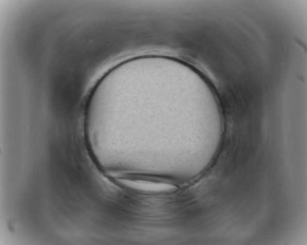 X0000097511504200803142030