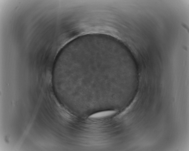 X0000097511505200803142030