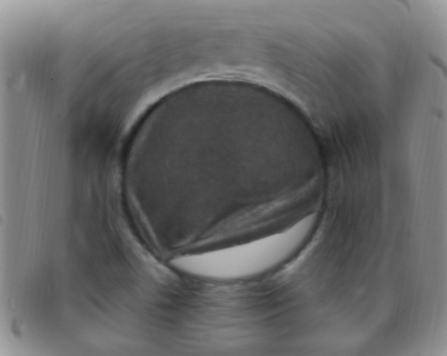 X0000097511506200803142030