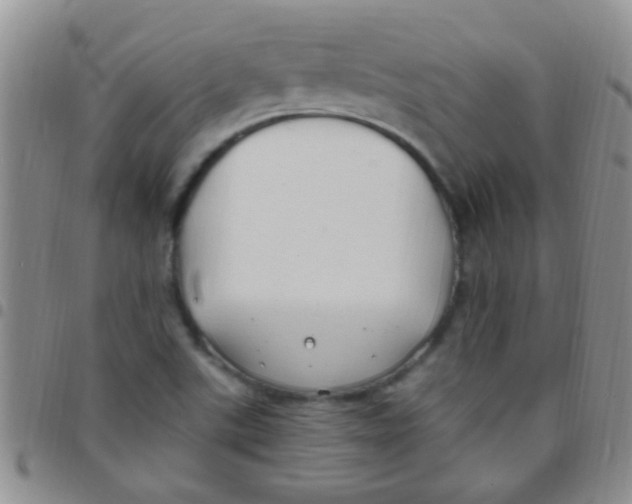 X0000097511507200803142030