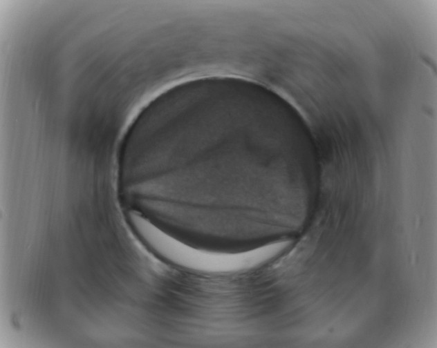 X0000097511508200803142030