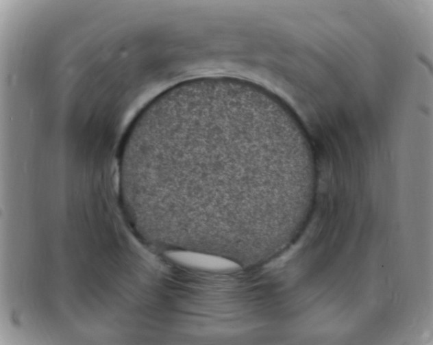 X0000097511509200803142030