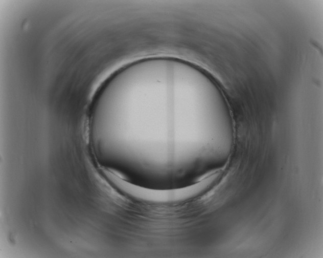 X0000097511510200803142030