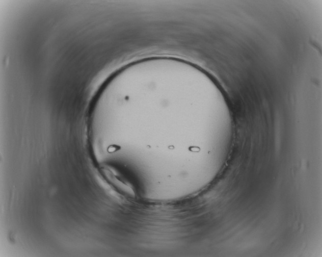 X0000097511511200803142030