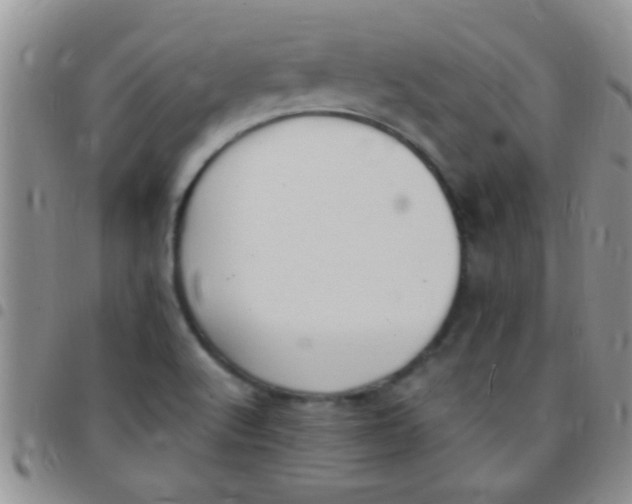 X0000097511512200803142030