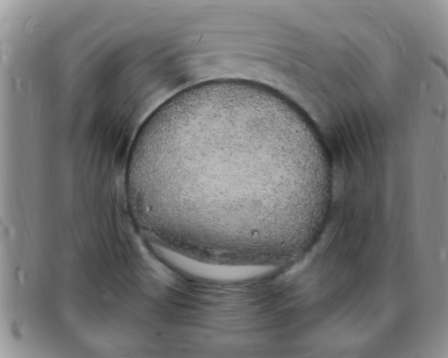 X0000097511513200803142030