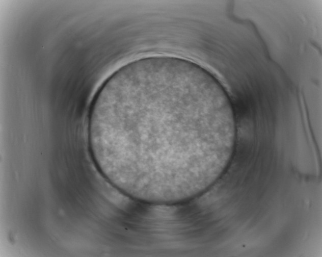 X0000097511514200803142030